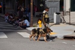 DSC_6354.jpg