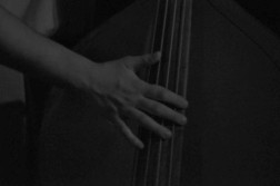 DSC_3548.jpg