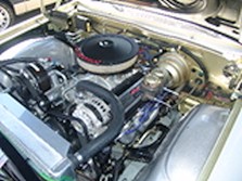 DSC00855.jpg