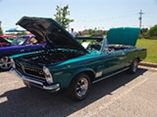 DSC00872.jpg