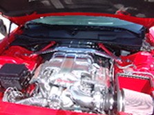 DSC00901.jpg