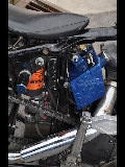 DSC_4424.jpg