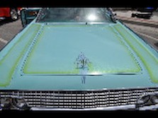 DSC_4447.jpg