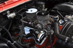 DSC_5117.jpg