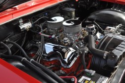DSC_5118.jpg