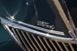 DSC_9503.jpg