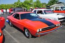 DSC_0319.jpg