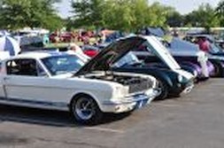 DSC_0461.jpg