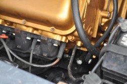 DSC_6472.jpg
