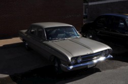 DSC_3529.jpg