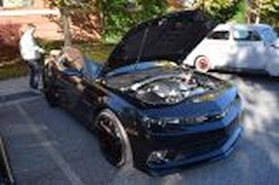 DSC_7418.jpg