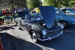 DSC_7471.jpg