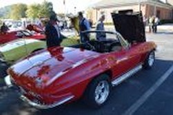 DSC_7499.jpg