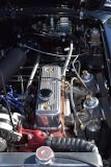 DSC_7515.jpg