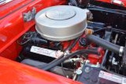 DSC_7541.jpg