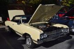 DSC_7552.jpg