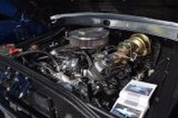 DSC_7681.jpg