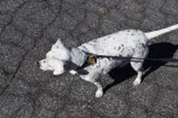 DSC_7748.jpg