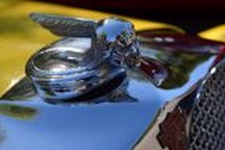 DSC_7769.jpg