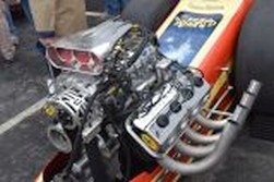 DSC_8081.jpg