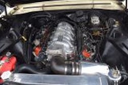 DSC_8142.jpg
