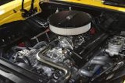 DSC_8185.jpg