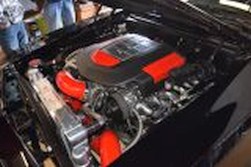 DSC_8253.jpg