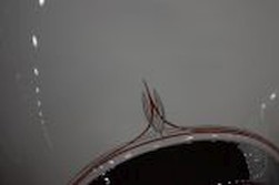 DSC_0384.jpg