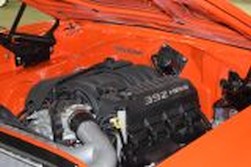DSC_0403.jpg