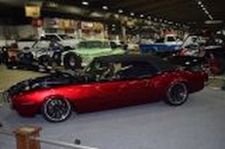DSC_0479.jpg