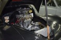 DSC_0511.jpg