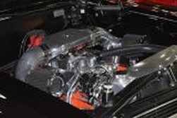 DSC_0563.jpg