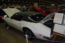 DSC_0585.jpg