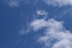 DSC_1893.jpg