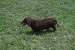 DSC_1938.jpg
