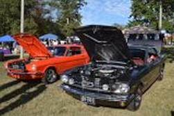 DSC_2826.jpg
