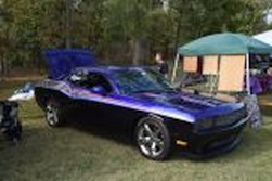 DSC_2850.jpg