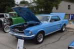 DSC_6461.jpg