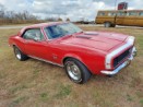 20201108_122931.jpg
