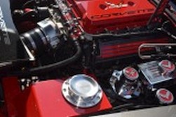 DSC_2341.jpg