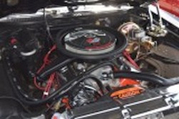 DSC_1281.jpg