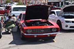 DSC_1290.jpg
