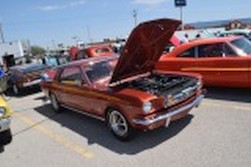 DSC_1313.jpg