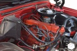 DSC_1317.jpg