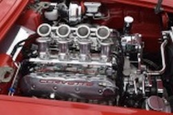DSC_1393.jpg