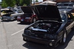 DSC_2196.jpg