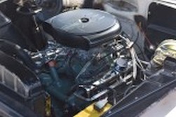 DSC_2198.jpg