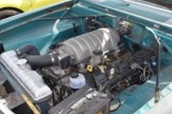 DSC_2831.jpg