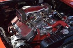 DSC_4784.jpg