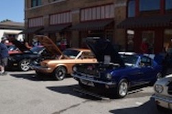 DSC_4803.jpg